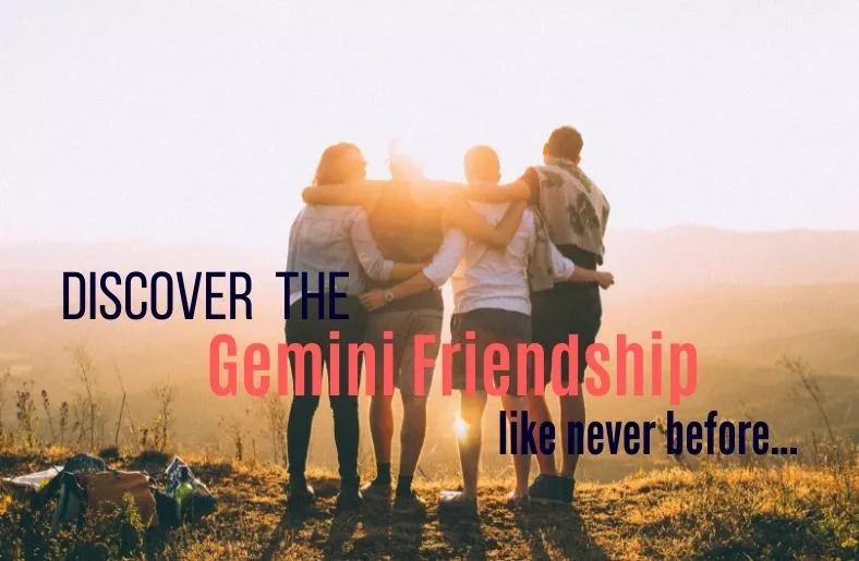 Gemini Friendship