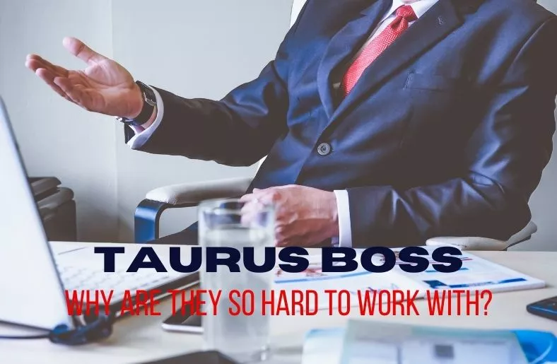 Taurus Boss