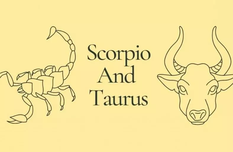 Scorpio And Taurus